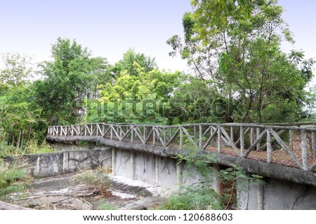 Bridge path walk to tropical forest.