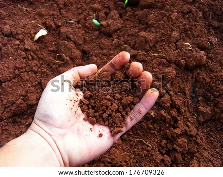 dry soil in hand