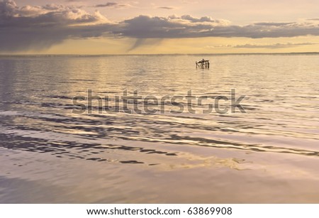Marine bay in the morning when light rain with a lonely seagull sitting in the quiet and pastel colors