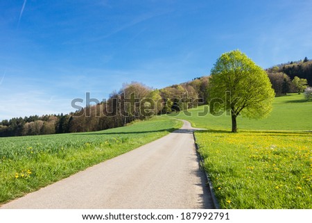 Swiss landscape: countryside during spring season with blue sky