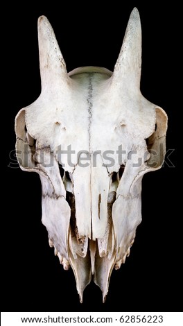 Evil Goat Skull