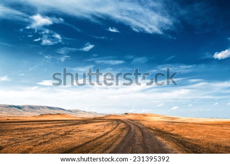 Road In the field and blue sky. Beautiful summer landscape. Creative toning effect