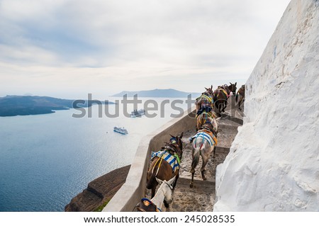 Horses and donkeys walking on the road along the sea. Beautiful landscape with sea view. Santorini island, Greece.