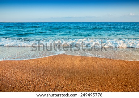 Tropical beach with blue sea. Beautiful summer landscape. Travel holiday background