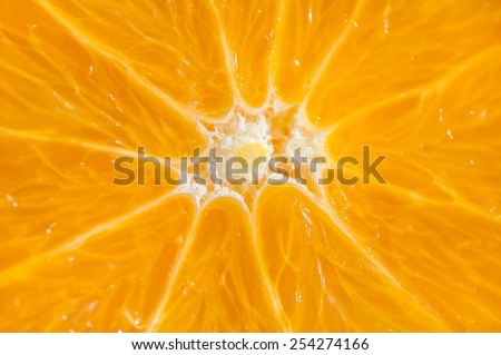 Macro image of orange. Small depth of field. Beautiful fruit background