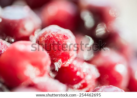 Frozen cherry berries. Macro image with small depth of field and bokeh effect. Beautiful berries background