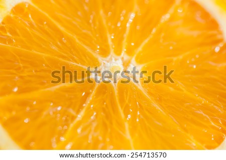 Macro image of orange. Small depth of field. Beautiful fruit background