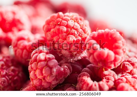 Frozen raspberry berries. Macro image with small depth of field. Beautiful berries background