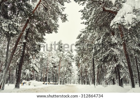 Road in a winter forest after snowfall. Beautiful winter landscape. Vintage effect