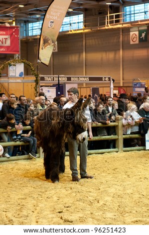 PARIS - FEBRUARY 26: Ass Animal competition at The Paris International Agricultural Show 2012 on February 26, 2012 in Paris