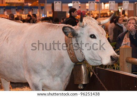 PARIS - FEBRUARY 26: Mascot Cow of the show at The Paris International Agricultural Show 2012 on February 26, 2012 in Paris