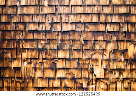 Wood shingles on a roof