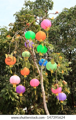 Chinese lanterns on tree green tree for ceremony background