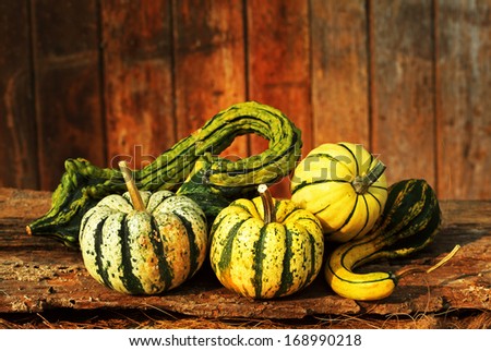 Still life art photography on raw fancy pumpkins