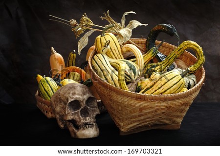 Still life art photography on raw fancy pumpkins in basket