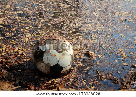 Old soccer ball lost in old pond with dead wood logs and dry leaves