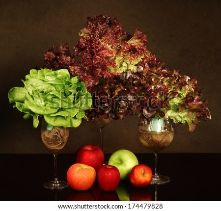 Butter Head and Red Coral hydroponic salad vegetable with red and green apples