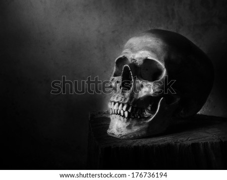 Still life fine art photography on human skeleton on wood log and red background black and white version with film grain