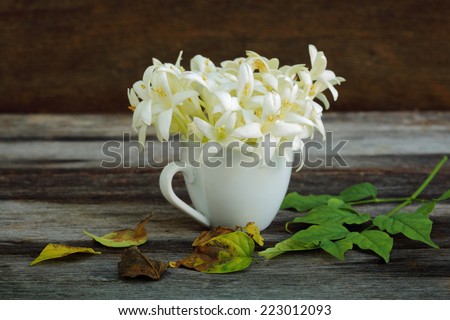 Indian cork tree (Millingtonia hortensis Linn.f) flowers in tea cup with fallen leaves