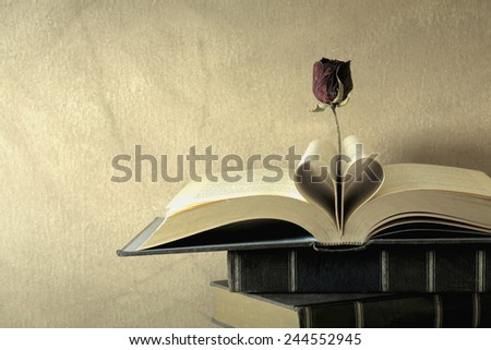 Still life art photography love concept with vintage book pages love heart sign on grunge