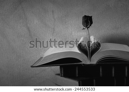Still life art photography love concept with vintage book pages love heart sign on grunge black and white version