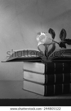 Still life art photography love concept with pink rose vintage book pages love heart sign on grunge selective focus black and white version