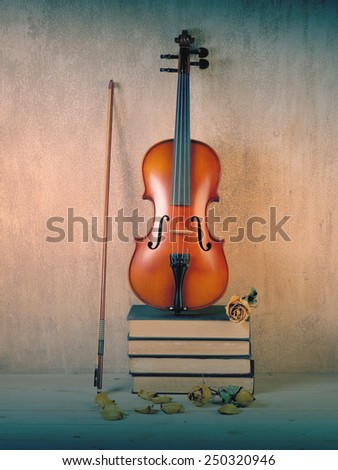 Violin of fiddle on books bunch with dry roses still life style