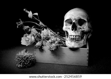 Still life art on skull and bouquet in box black and white