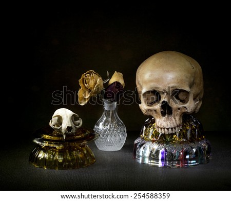 human and cat skulls with crystal glassware light paint still life