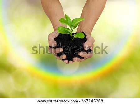 human hands with little tree in black soil green for carbon concept
