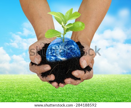 Human hand holding global in soil with little green tree for World Environment Day concept Elements of this image furnished by NASA