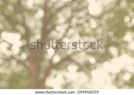 Abstract blur tree trunk and leaves as background abstract with out of focus