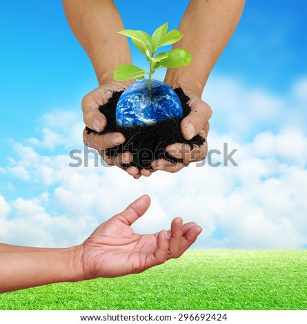 Human hand holding global in soil with little green tree give for below hand for think earth concept Elements of this image furnished by NASA