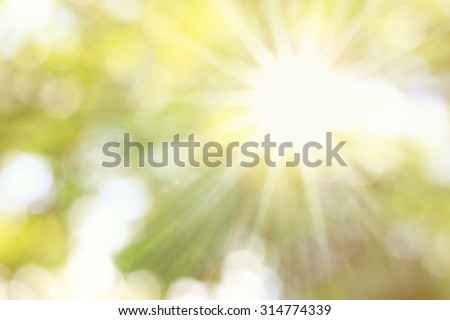Golden heaven splashing light in Hope concept abstract blurred background from nature with sun splash and gold leaves
