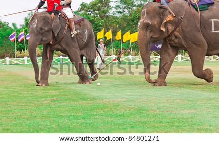 HUA HIN, THAILAND -SEPT. 8: Unidentified polo players in elephant polo games the 2011 King \'s Cup Elephant Polo match on September 8, 2011 at Suriyothai Camp in Hua Hin, Thailand.