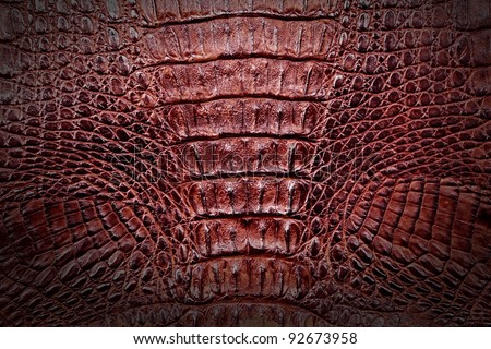 Crocodile skin in natural brown color for texture and background.
