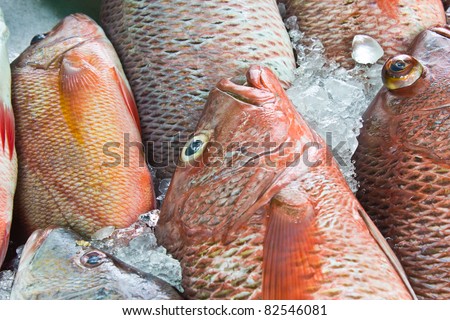 sea product from the adaman sea in local fish market