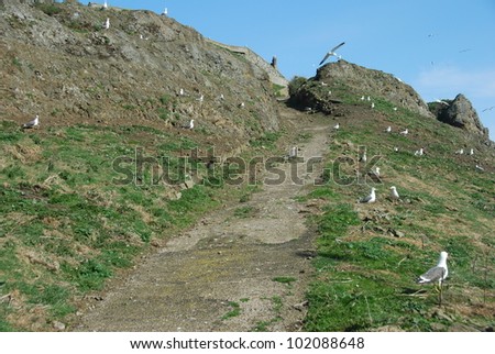 Inchkeith Uphill Path
