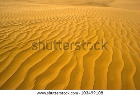 Desert sand dune with orange texture ripples. Concept photo of desert ,travel, vacation, lost, survival ,hot, dry, destination, empty, alone, remoteness, freedom, environment and wilderness.