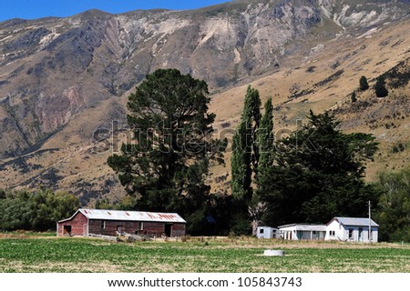 Old farm building with sheep in south Island, New Zealand.