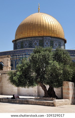 Muslim man prays under Dome of the Rock  Mosque on Temple Mount Jerusalem, Israel.