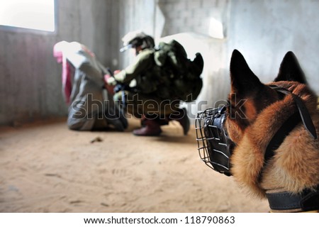 TZEELIM - MARCH 31:Israeli army attack dog during Urban Warfare Exercise on March 31 2011 in Tzeelim, Israel. Attack dogs have been used often throughout history in police and military roles.