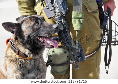 TZEELIM - MARCH 31:Israeli army attack dog during Urban Warfare Exercise on March 31 2011 in Tzeelim, Israel. Attack dogs have been used often throughout history in police and military roles.