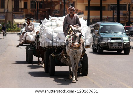 LUXOR - MAY 02:Egyptian man rides his donkey chariot on May 02 2007 in Luxor  Egypt.Asses were first domesticated around 4000 BC in Egypt.