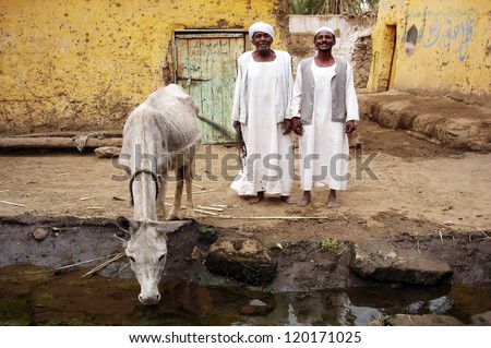 ASWAN - APRIL 30:Two Egyptian Nubian men and a cow stands near water channel on April 30 2007 near Aswan,Egypt. Nubians are the people settling along the banks of the Nile from northern Sudan to Aswan