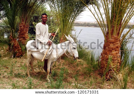 ASWAN - APRIL 30: Egyptian Nubian man rides a white donkey on April 30 2007 near Aswan, Egypt. Nubians are the people settling along the banks of the Nile from northern Sudan to Aswan.