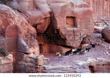 PETRA, JORDAN - NOV 09 2007:Jordanian shepherd runs after a goat flock over the red rock tombs in Petra, Jordan.Most of Petra destroyed by earthquakes and fractured the lifeline of the city.