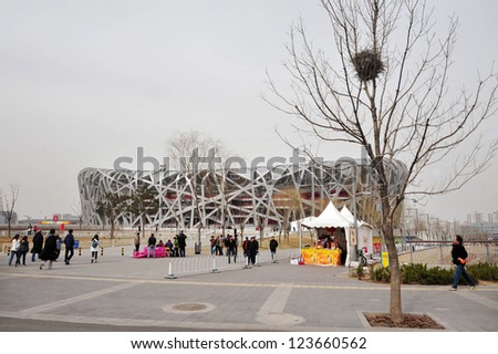 BEIJING - APRIL 04 2009:Bird nest on a tree against the Bird\'s Nest Stadium in Beijing, China.The design, which originated from the Chinese ceramics giving the stadium the appearance of a bird\'s nest.