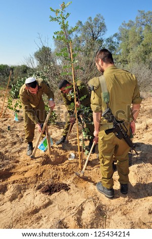 WESTERN NEGEV - JAN 20:Israeli soldiers plants tree in Tu Bishvat on January 20 2011 in the Western Negev, Israel.It\'s a Jewish holiday and agricultural festival, marking the emergence of spring.