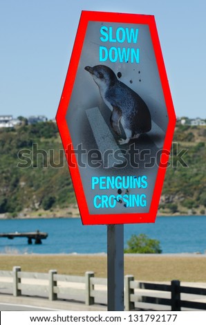Street sign reads slow down Penguins Crossing in Wellington New Zealand.